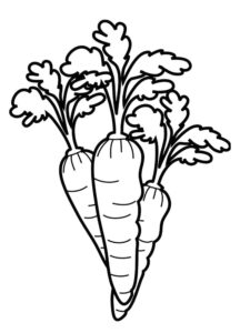 Vegetable Coloring Pages - Best Coloring Pages For Kids