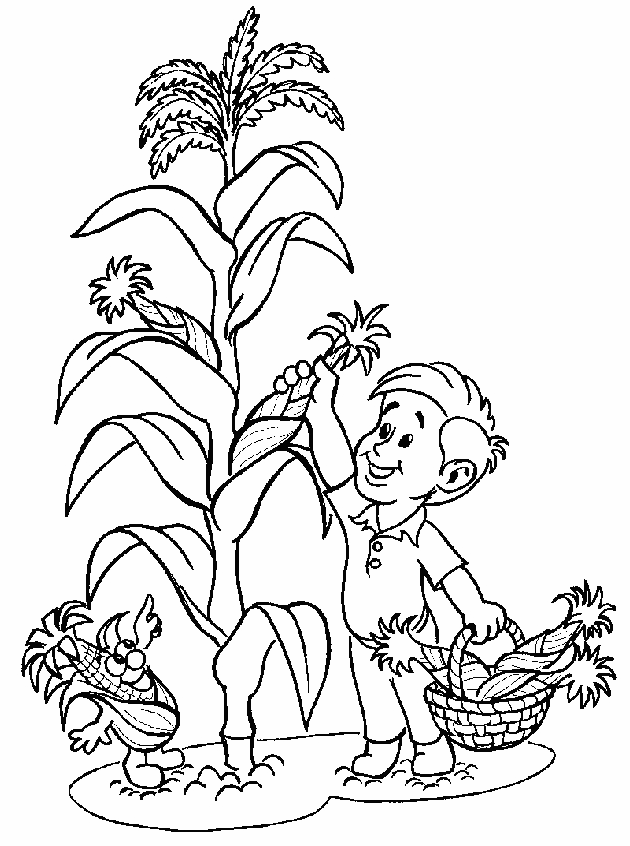 Picking Corn From The Garden Coloring Page