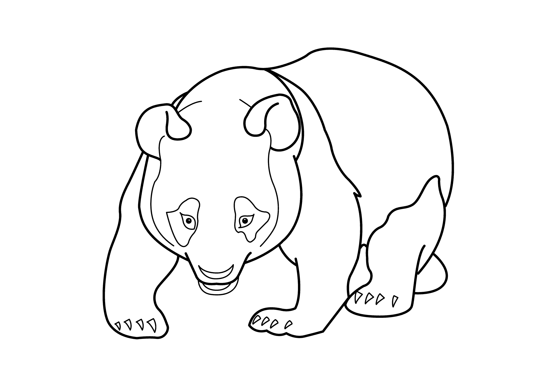 red panda coloring pages