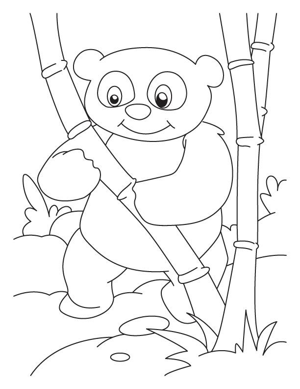 panda coloring pages best coloring pages for kids