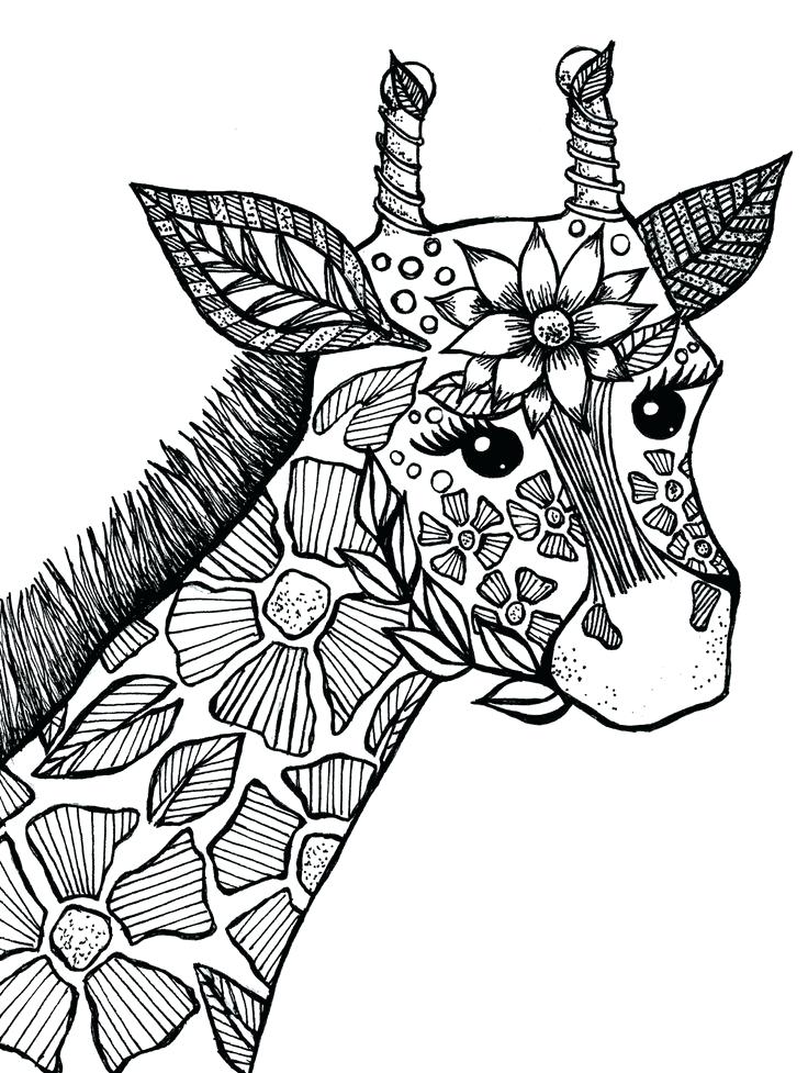 Animal Coloring Pages Best Coloring Pages For Kids