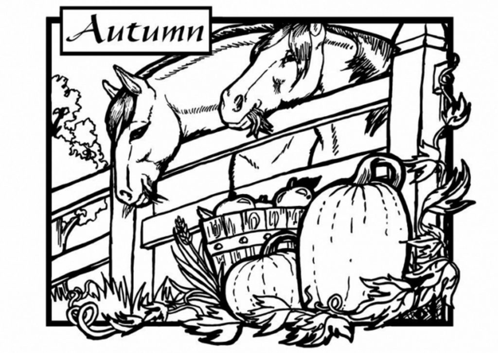 Autumn On The Farm Coloring Page For Adults