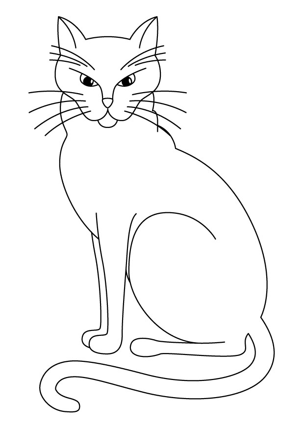 Cat Animal Coloring Page