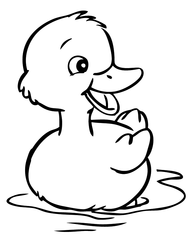 Duck Animal Coloring Page