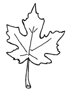 Fall Leaves Coloring Pages - Best Coloring Pages For Kids