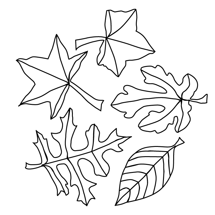 Fall Leaf Coloring Pages Printable
