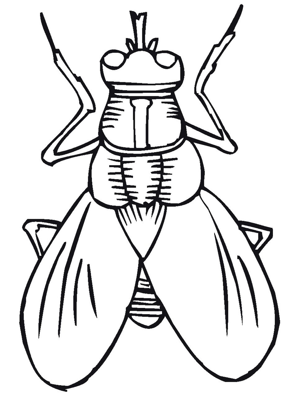 19+ Free Printable Insect Coloring Pages for Girls - Super Coloring
