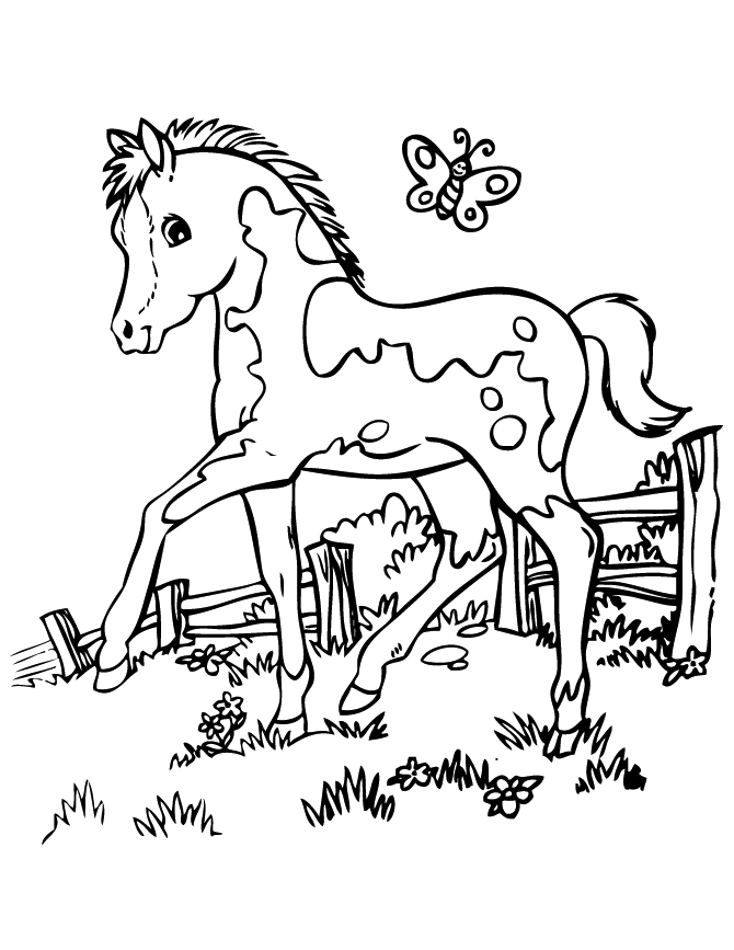 Horse Animal Coloring Page