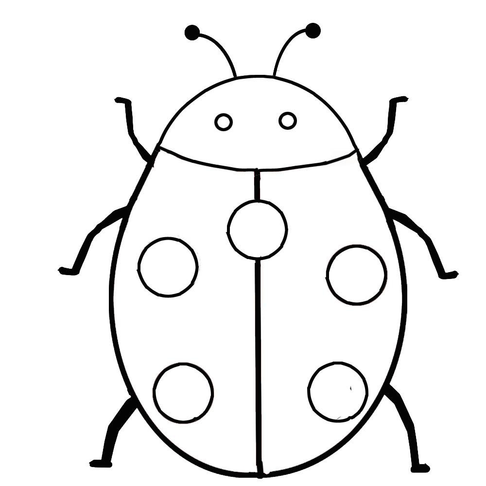 Free Printable Bug Pictures