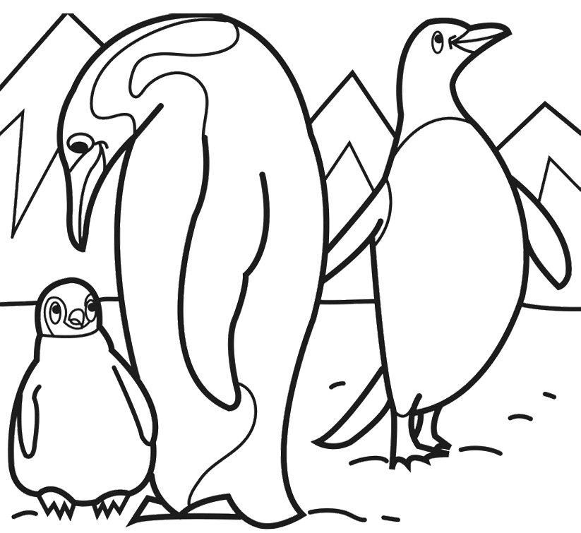 Penguin Animal Coloring Page