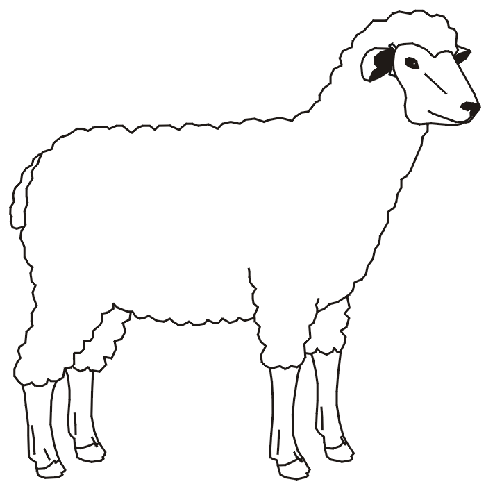 Sheep Animal Coloring Page