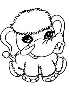 baby animal coloring pages  best coloring pages for kids