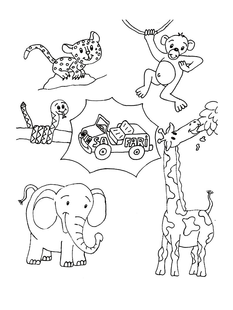 cute safari animal coloring pages
