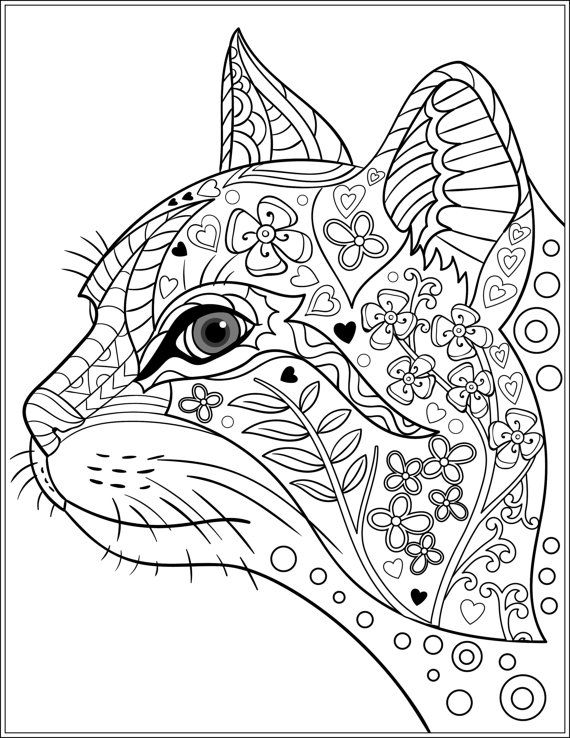 Cat Adult Coloring Pages 6