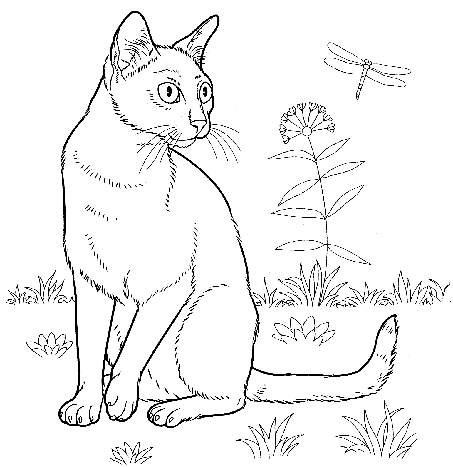 realistic tabby cat coloring pages