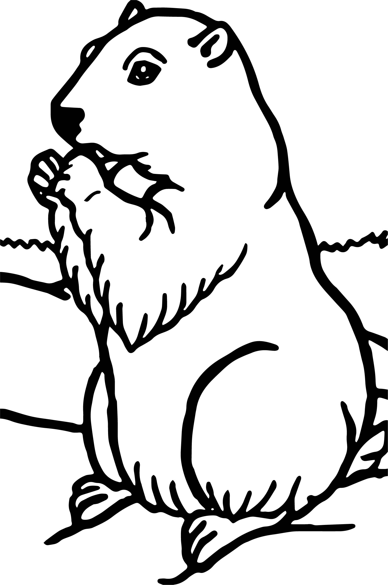 Groundhog Coloring Pages Best Coloring Pages For Kids