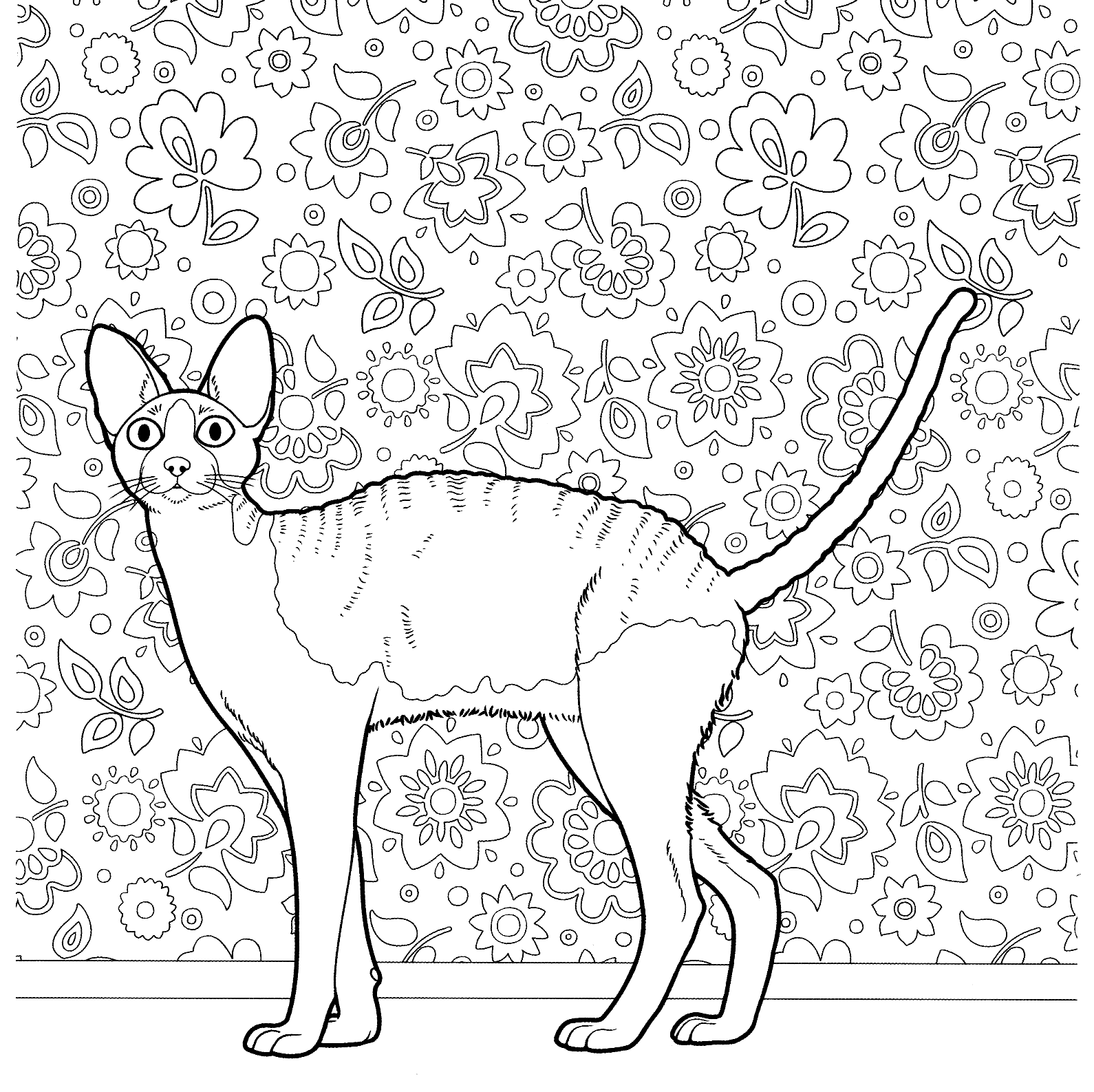 Cat Adult Coloring Pages