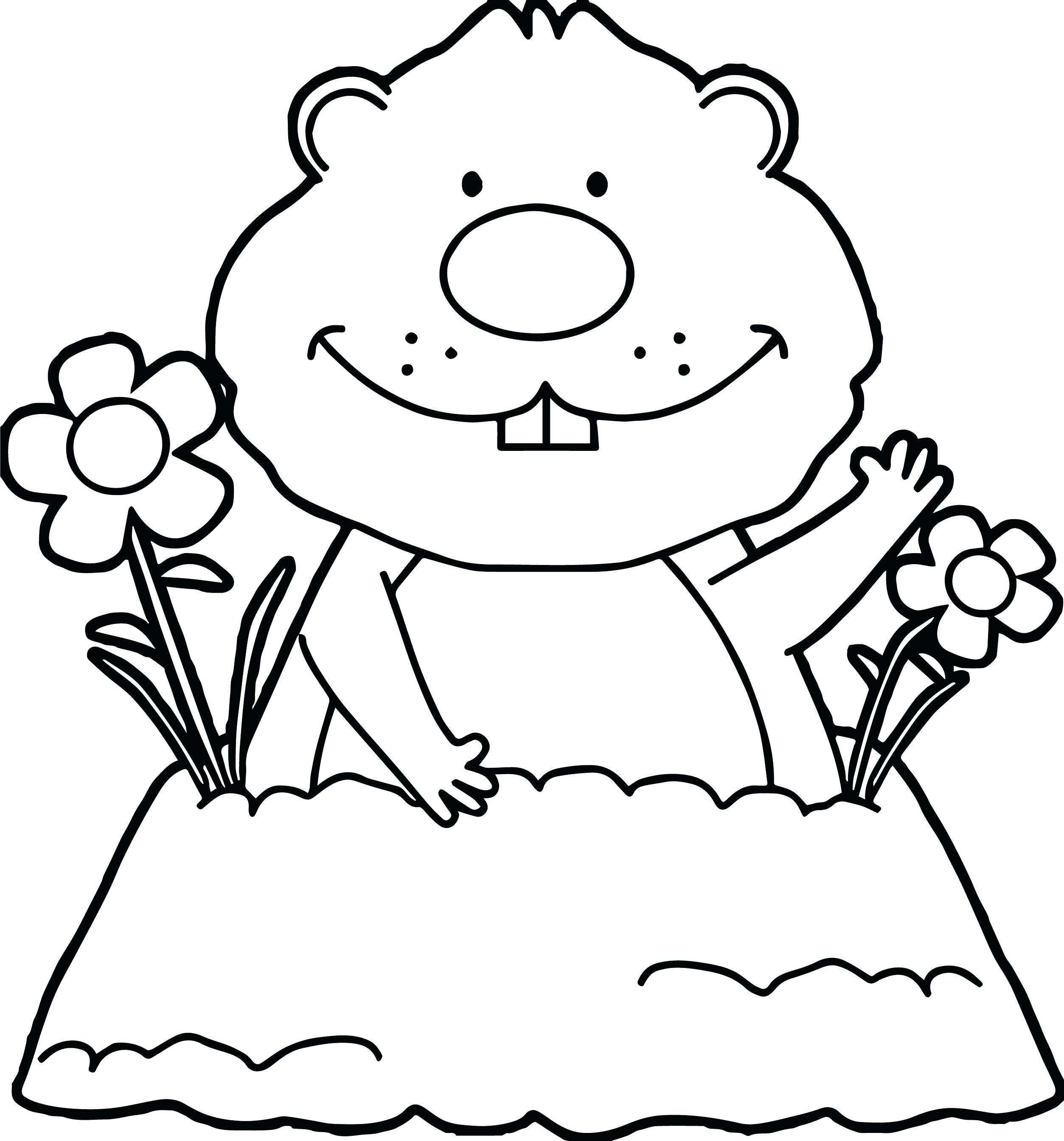 Free Printable Pictures Of Groundhogs Printable Templates