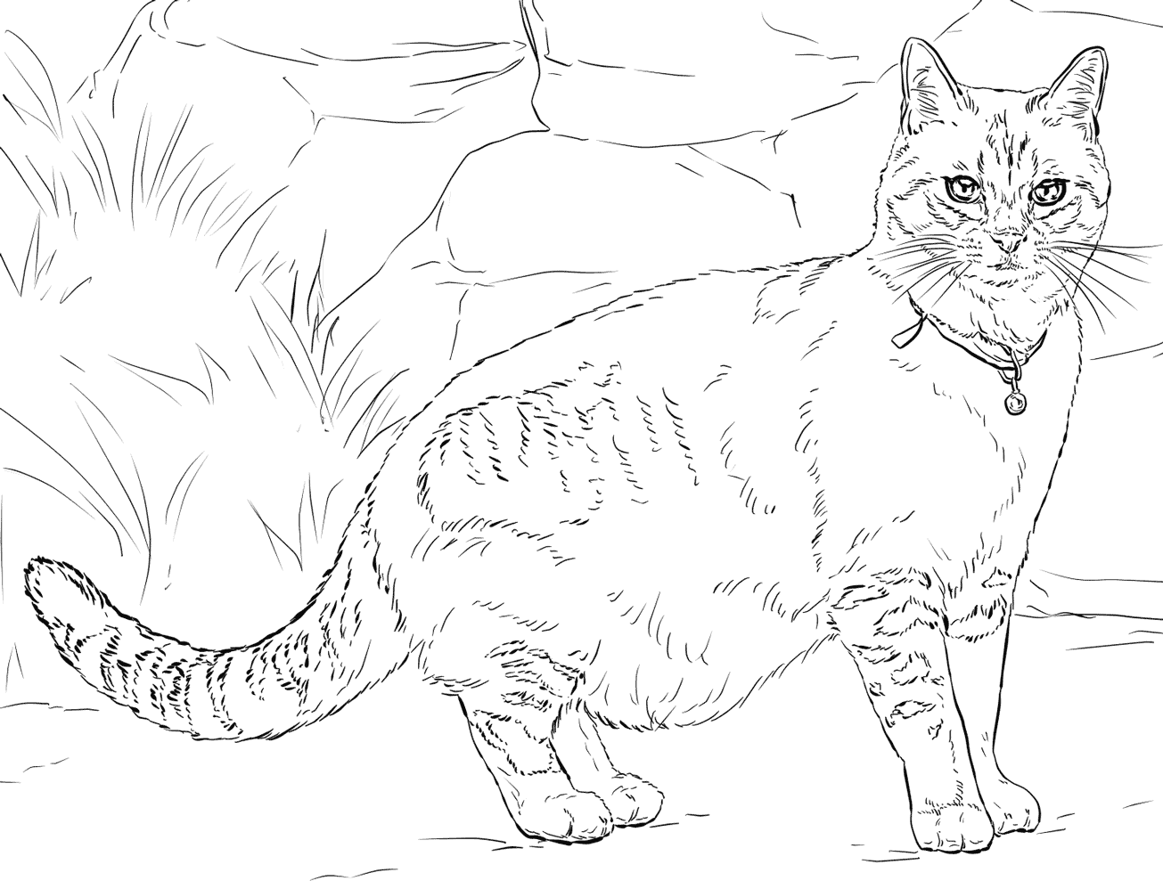 hard cat coloring pages