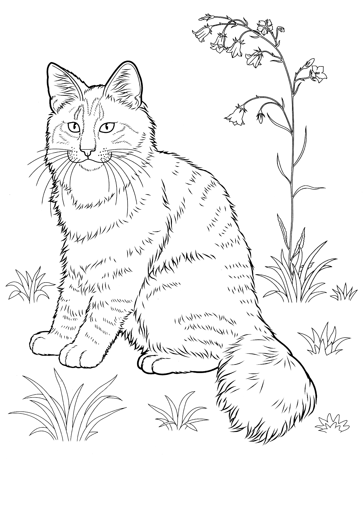 Free Printable Cat Coloring Pages For Adults Free printable cat