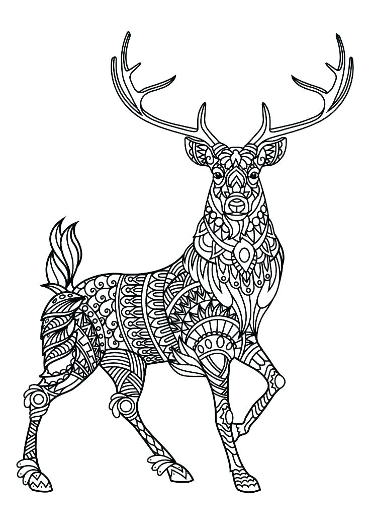 deer antlers coloring page