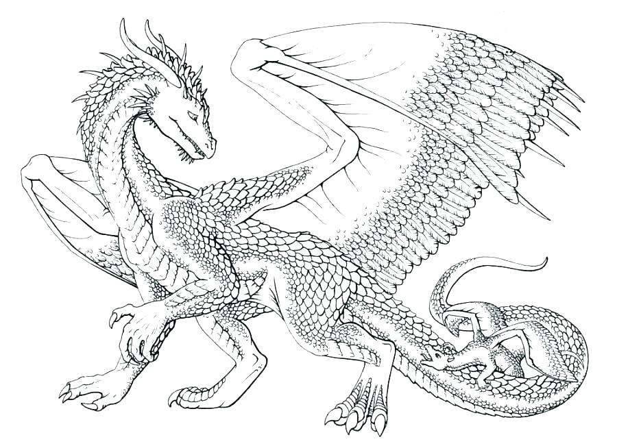 cute dragon coloring pages for adults