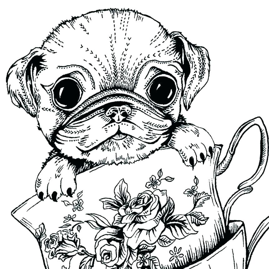 Download Dog Coloring Pages for Adults - Best Coloring Pages For Kids