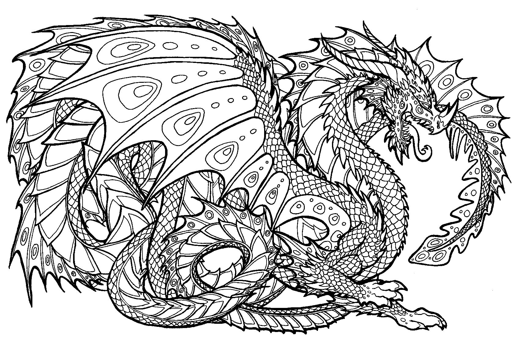 Dragon Coloring Pages For Adults Best Coloring Pages For Kids