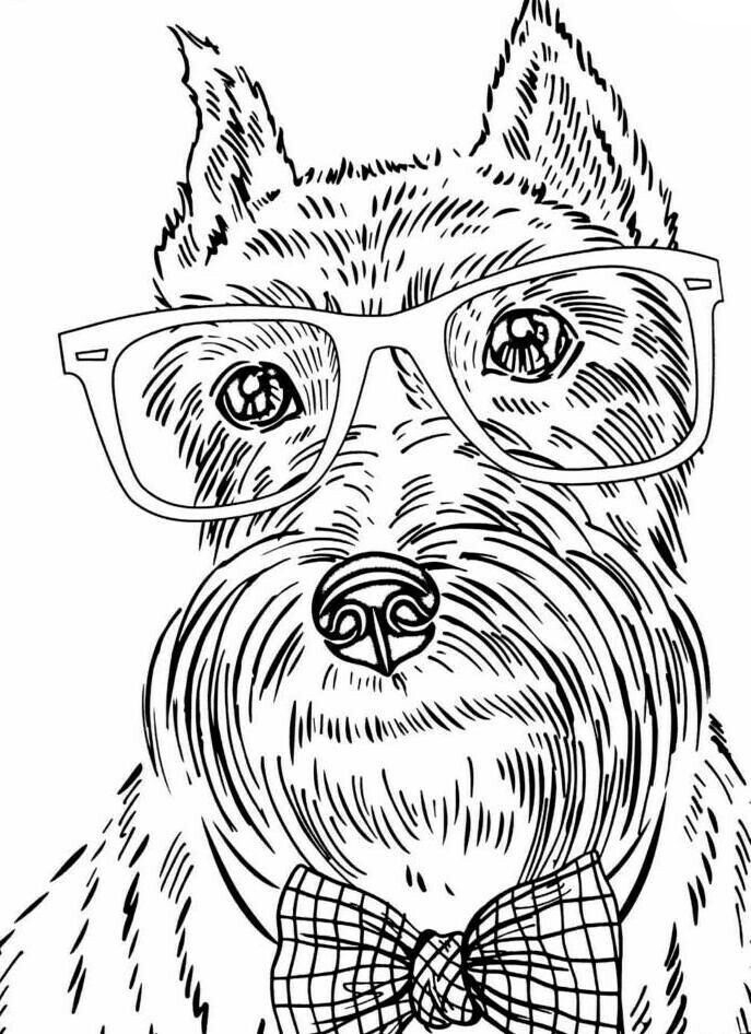 Puppy Colouring Pages Hard Hampel Bloggen