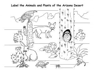 Desert Coloring Pages - Best Coloring Pages For Kids