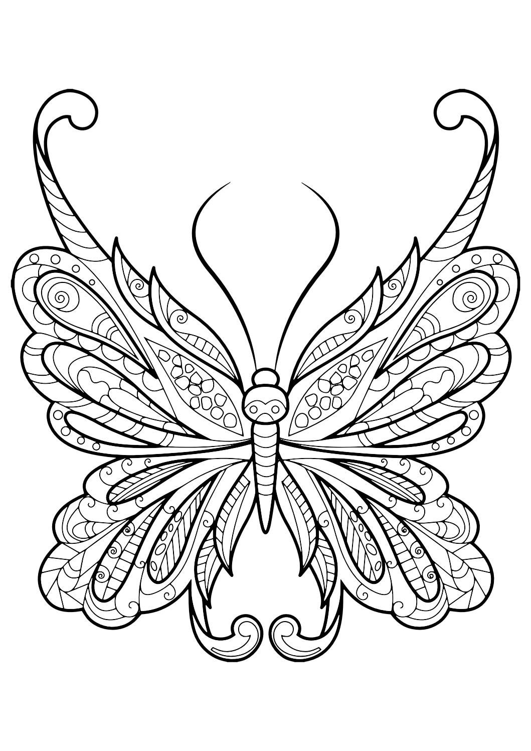12+ Detailed Butterfly Coloring Pages For Adults – Home