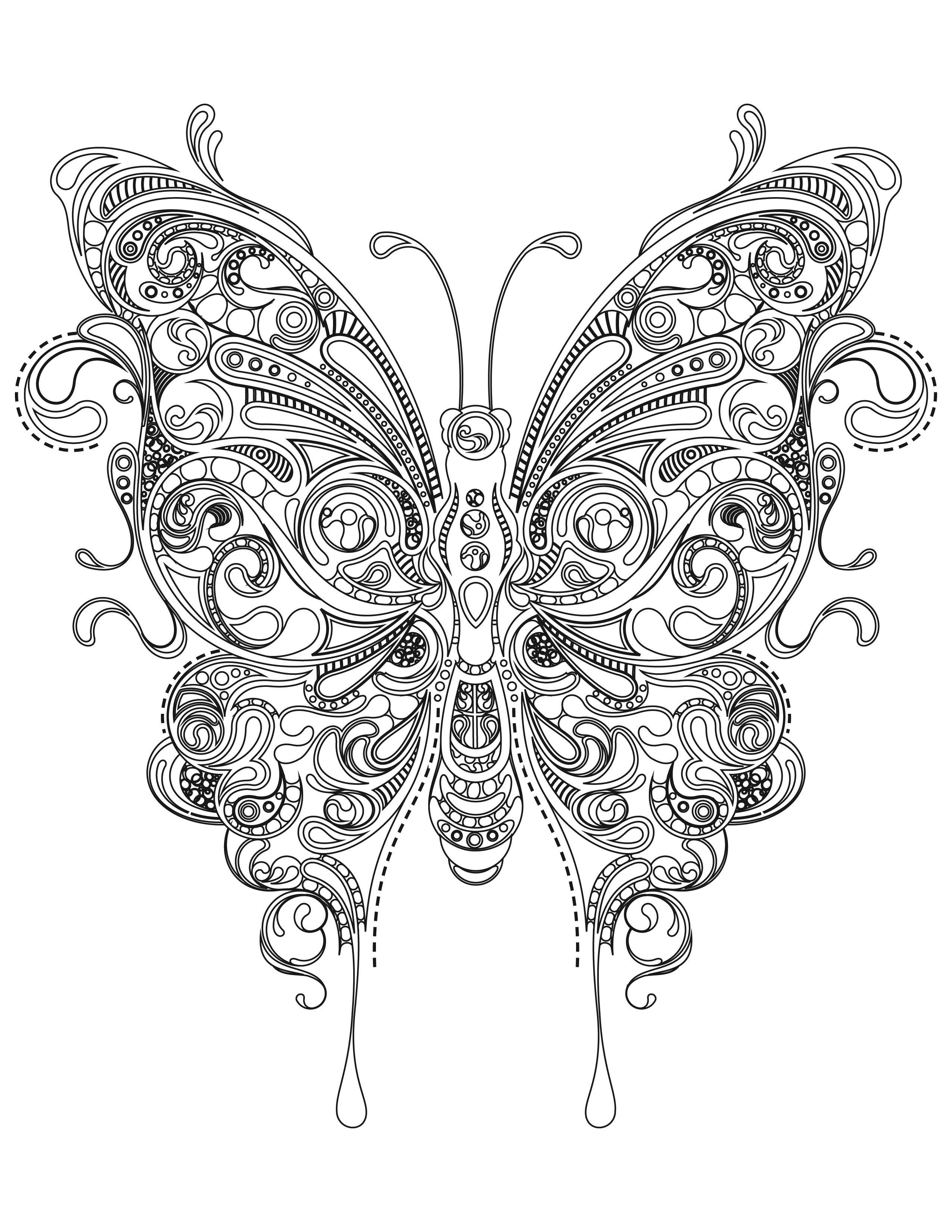 Pin by Barbe McKittrick on Coloring ~ Detailed | Butterfly coloring