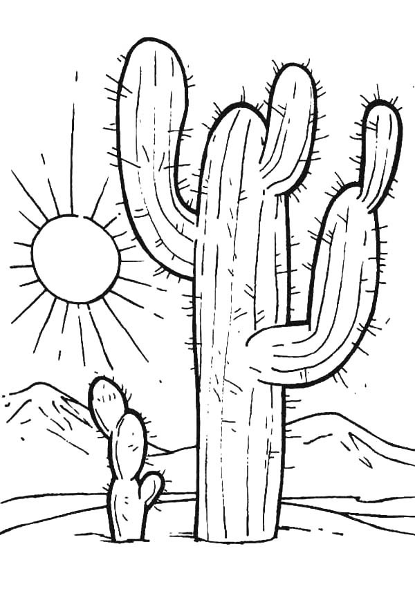 Desert Animal Coloring Pages