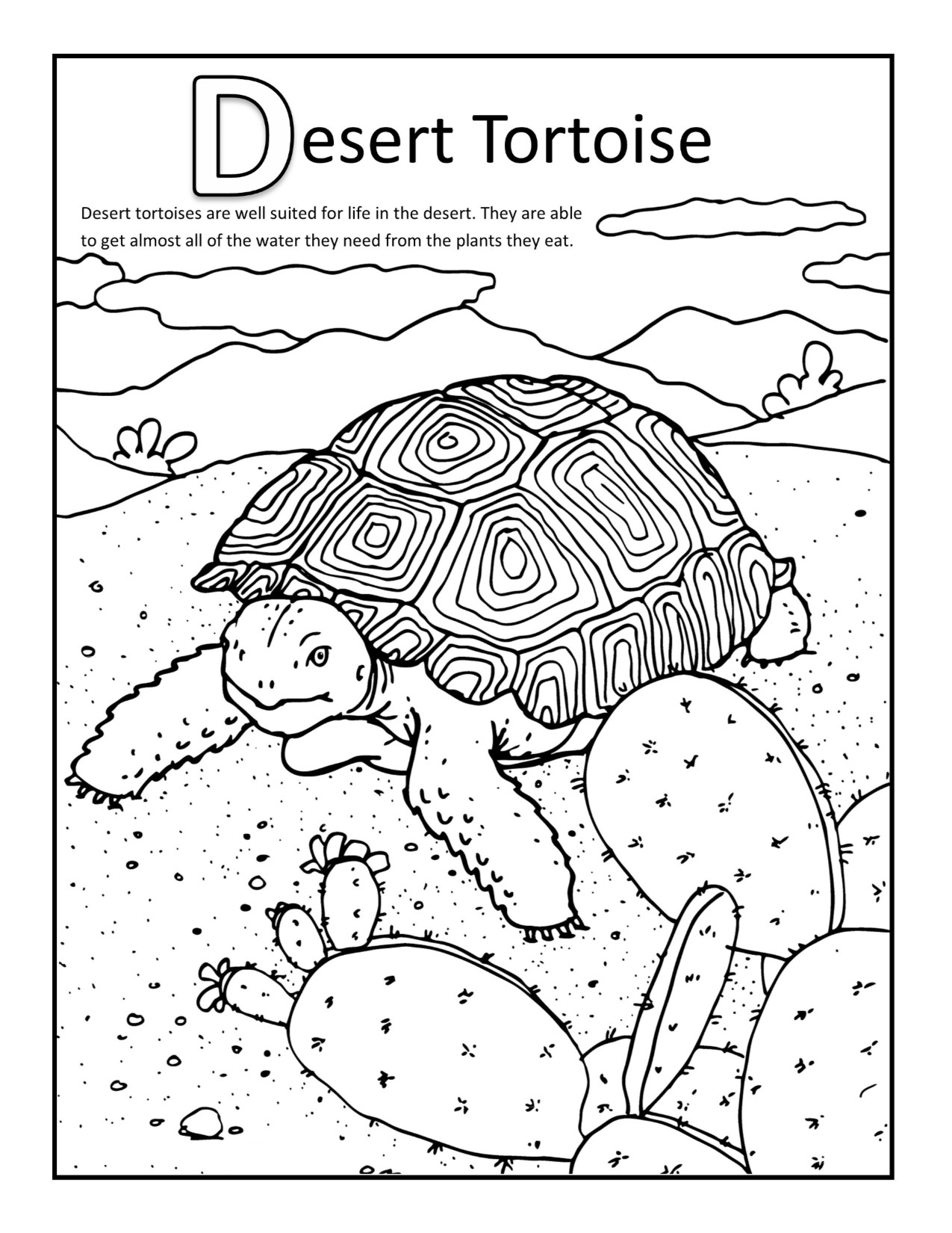 Desert Animals For Kids Coloring Page
