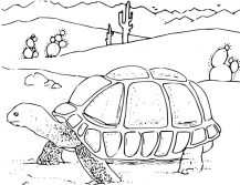 Desert Coloring Pages - Best Coloring Pages For Kids