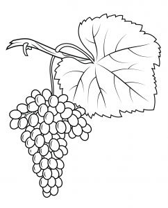 Grapes Coloring Pages - Best Coloring Pages For Kids