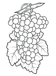 Grapes Coloring Pages - Best Coloring Pages For Kids