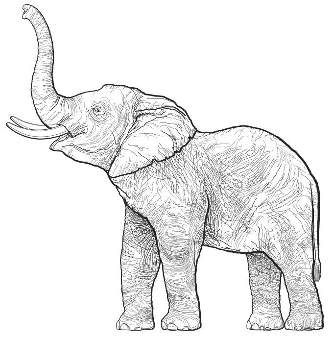 Elephant Pencil Case Coloring Page
