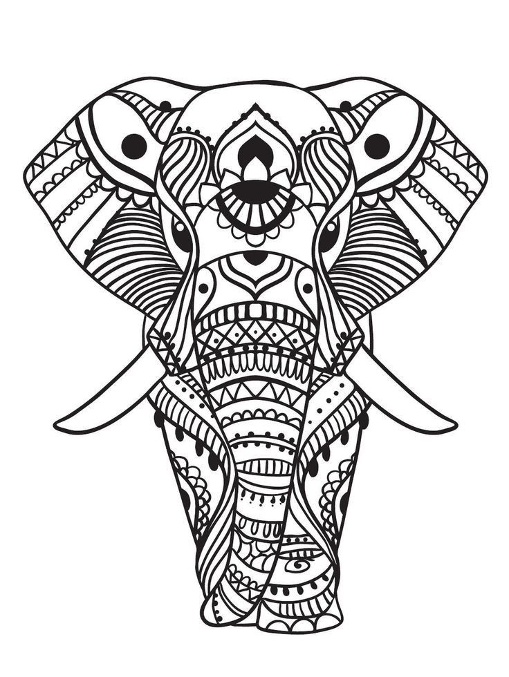 Elephant Coloring  Pages  for Adults  Best Coloring  Pages  