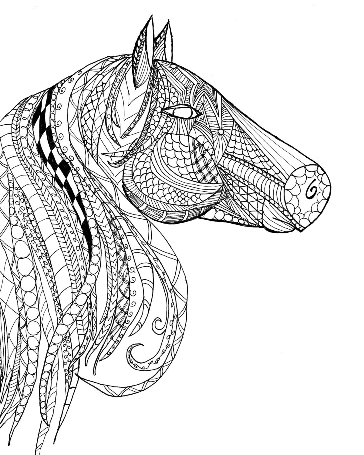 Free Horse Coloring Pages For Adults Kids COWGIRL Magazine