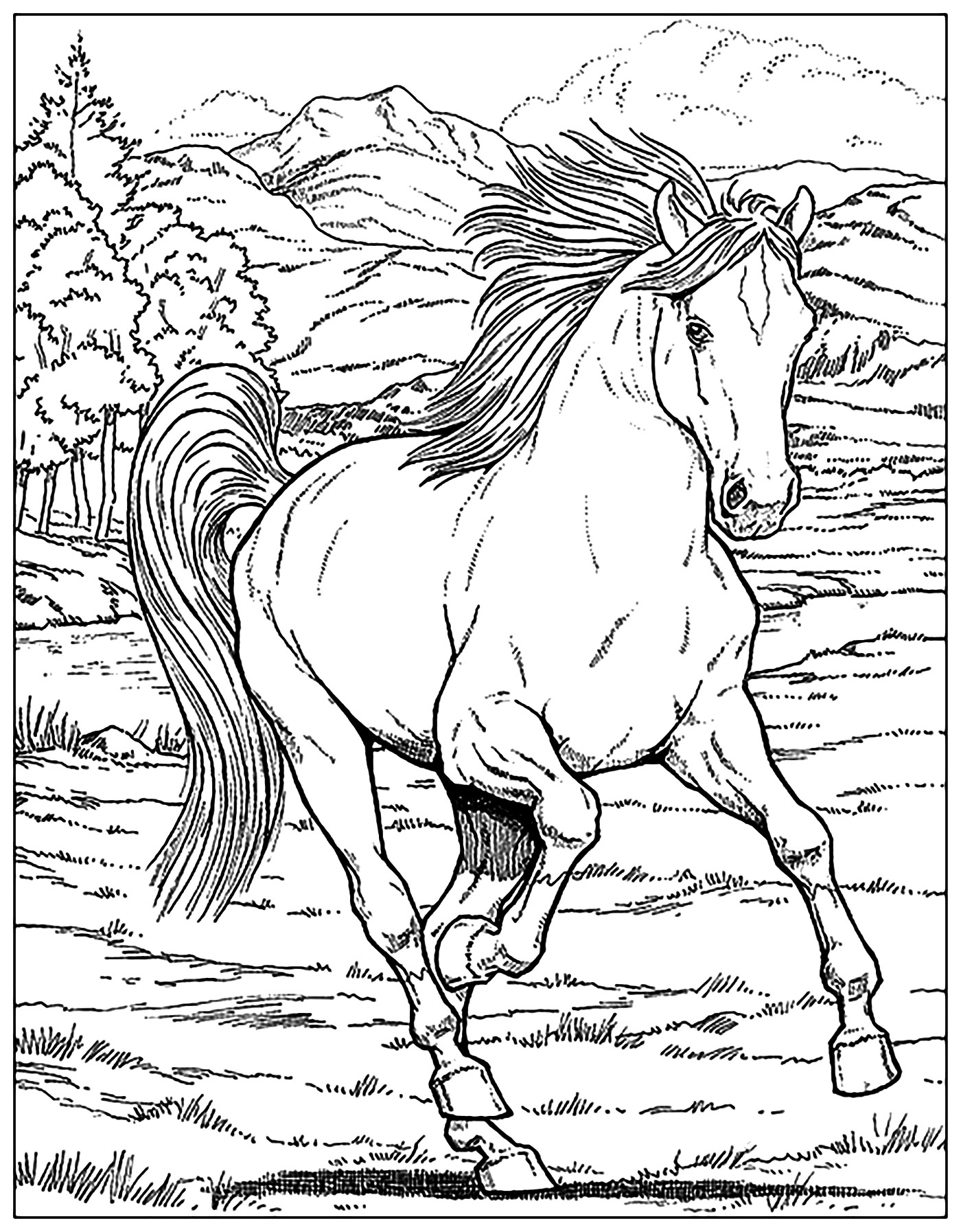 Cool Horse Coloring Pages