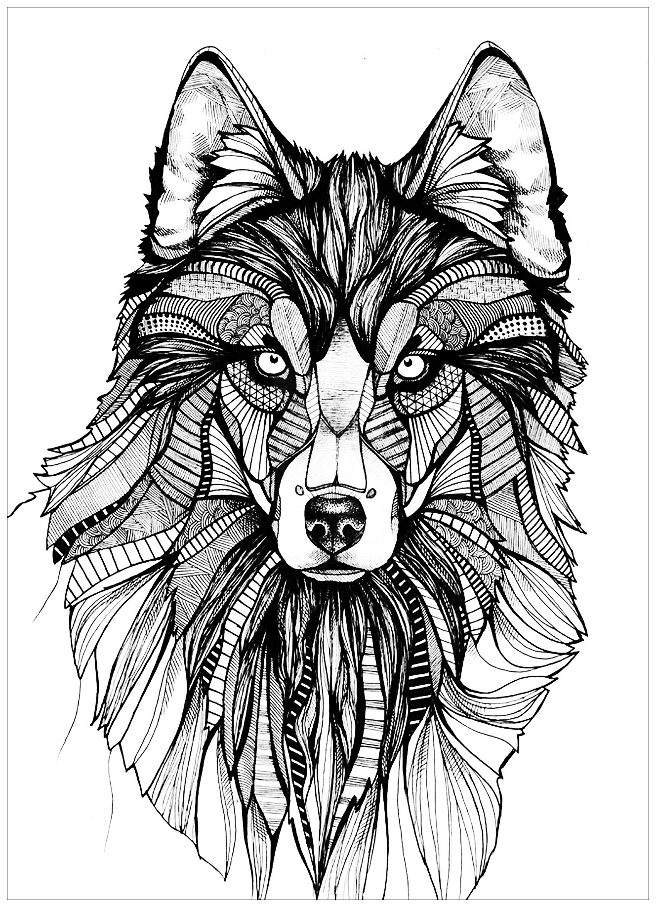 coloring pages of wolves