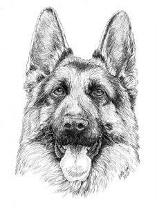 German Shepherd Coloring Pages - Best Coloring Pages For Kids