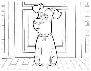 The Secret Life Of Pets Coloring Pages - Best Coloring Pages For Kids