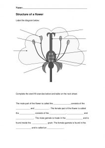 4th Grade Science Worksheets - Best Coloring Pages For Kids