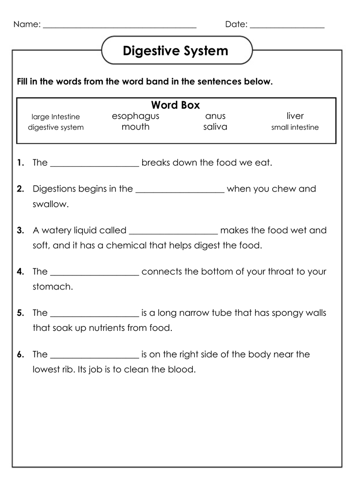 4th Grade Science Free Printable Worksheets