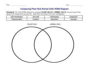 4th Grade Science Worksheets - Best Coloring Pages For Kids