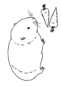 Guinea Pig Coloring Pages - Best Coloring Pages For Kids