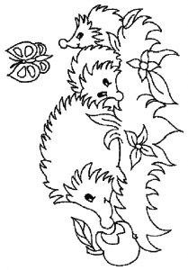 Hedgehog Coloring Pages - Best Coloring Pages For Kids