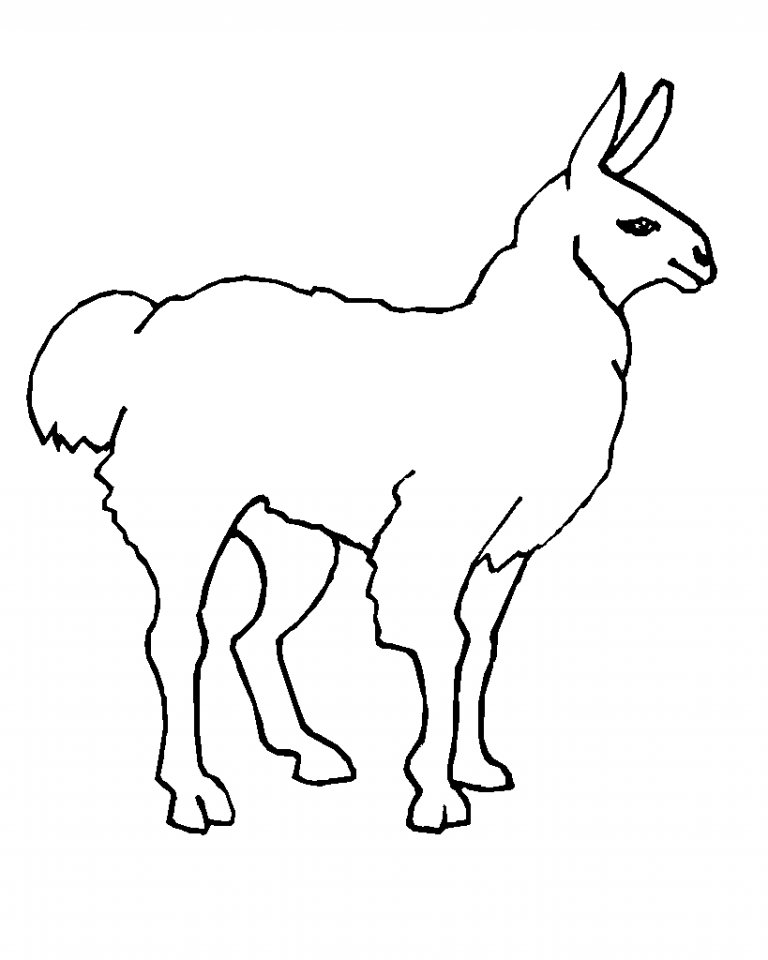 Llama Coloring Pages - Best Coloring Pages For Kids